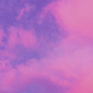 Meet your Posher, Ariel